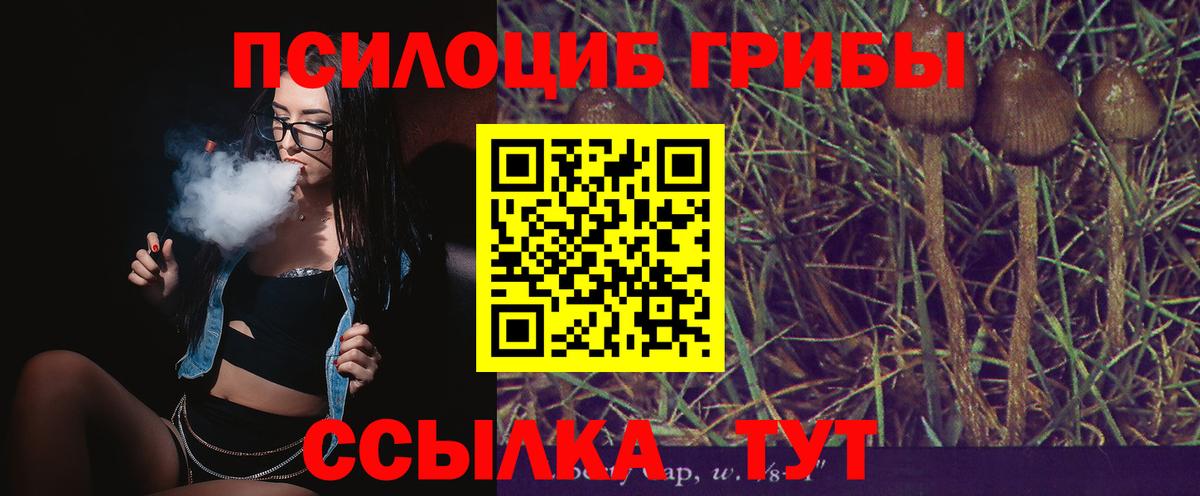 Псилоцибиновые грибы мухоморы  Галлюциногенные грибы Psilocybine cubensis  Вход с VPN  Орёл 